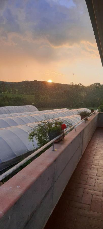 Casa Vacanze Cerreto 3 Miglianico Exterior photo